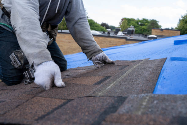 Best Commercial Roofing Services  in Mazon, IL