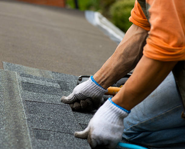 Best Commercial Roof Installation  in Mazon, IL